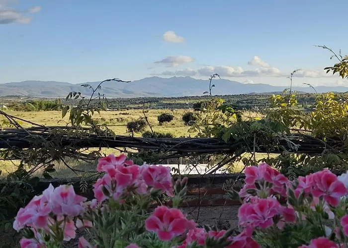 Casa De Las Lavandas, Avila