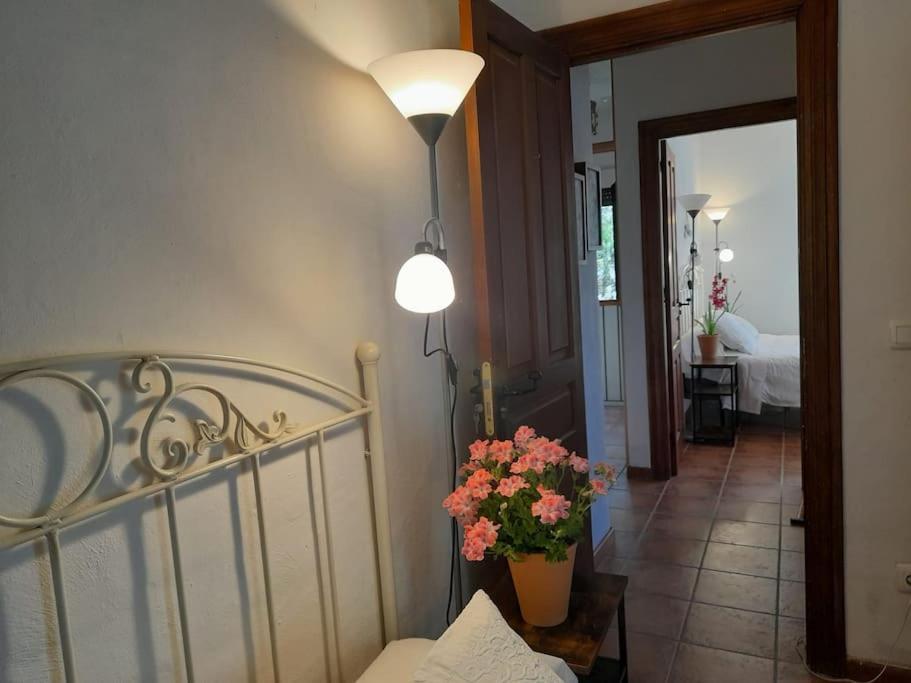 Ferienhaus Casa De Lavandas,