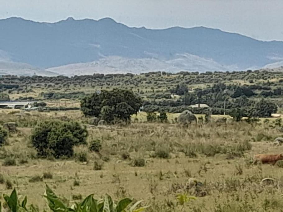 Casa De Lavandas, *