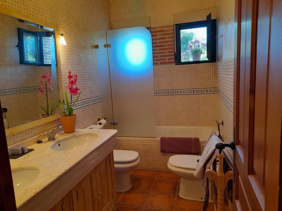 Vakantiehuis Casa De Lavandas, *